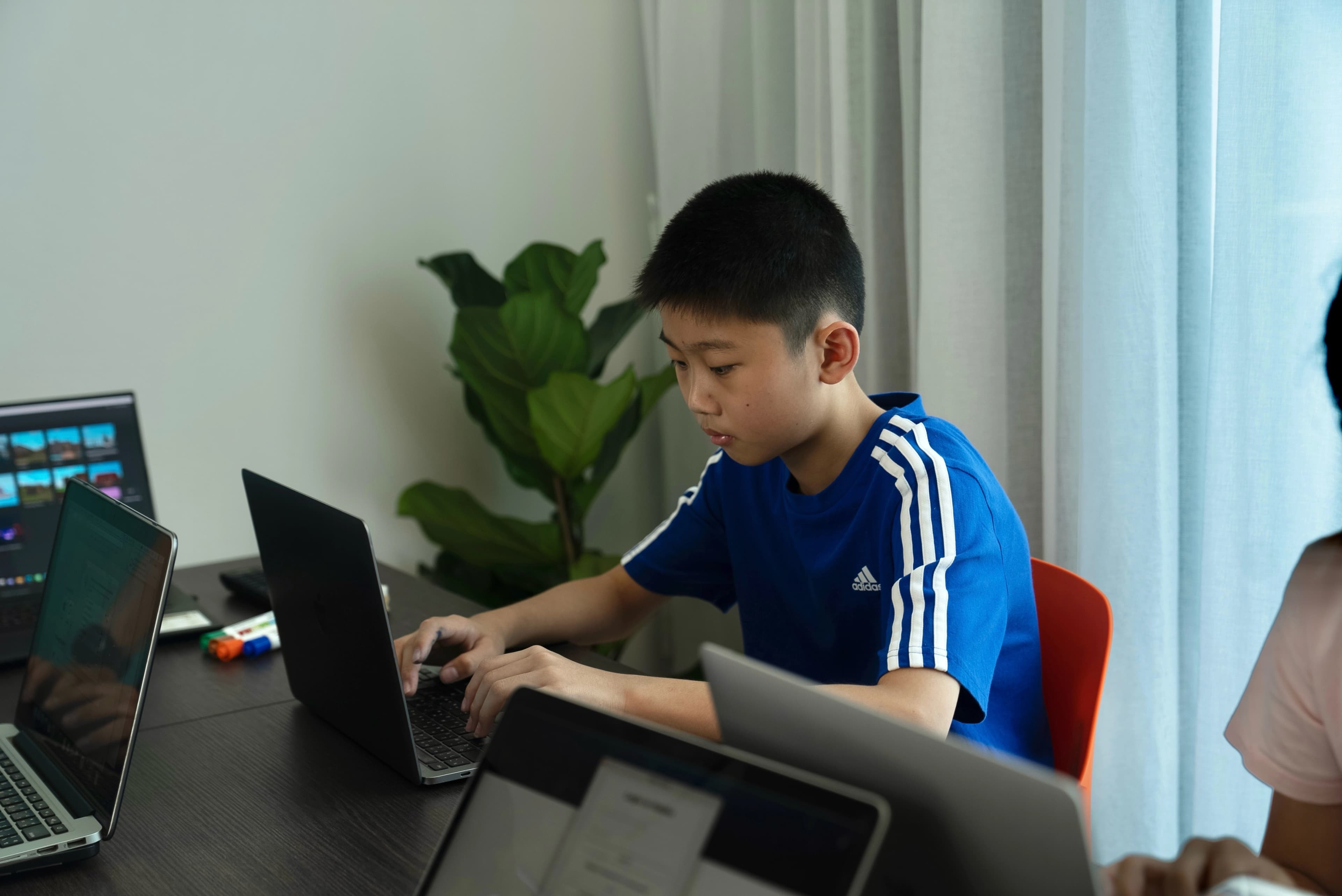 Web Development Project